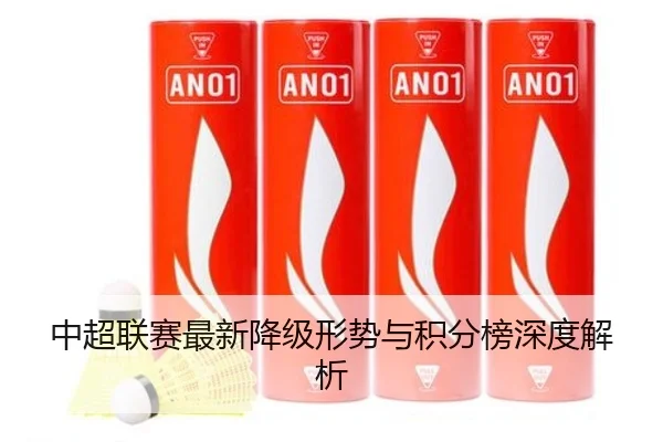 中超联赛最新降级形势与积分榜深度解析